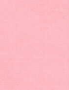 pink.jpg (1341 bytes)